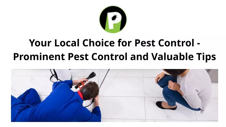 your local choice for pest control prominent pest