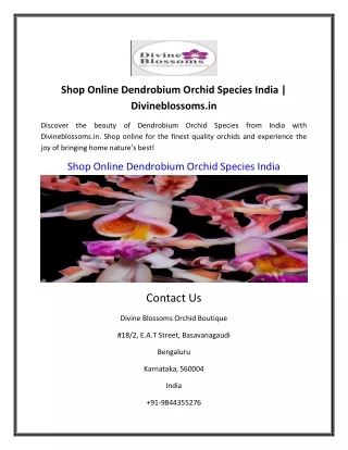 Shop Online Dendrobium Orchid Species India | Divineblossoms.in
