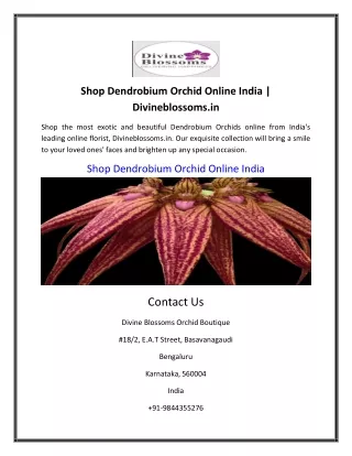 Shop Dendrobium Orchid Online India | Divineblossoms.in