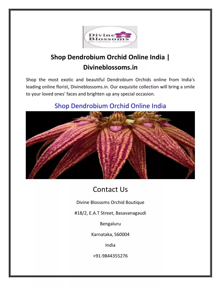 shop dendrobium orchid online india