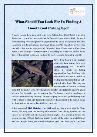 What Should You Look For In Finding A Good Trout Fishing Spot
