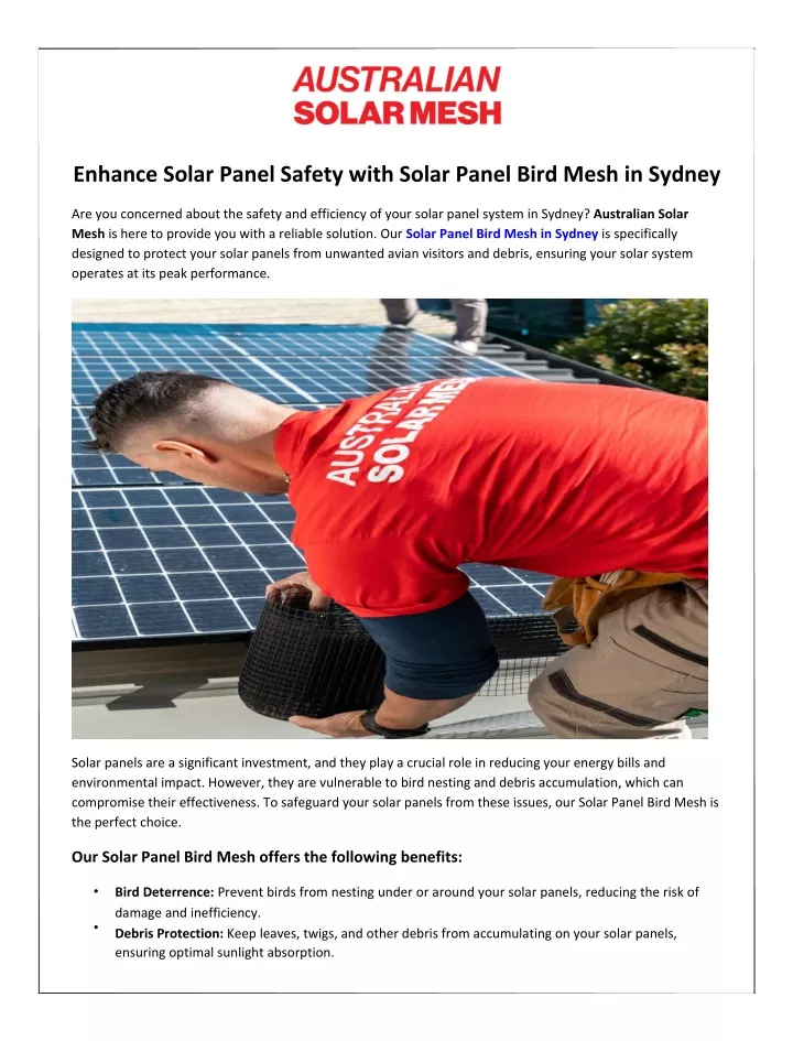 enhance solar panel safety with solar panel bird