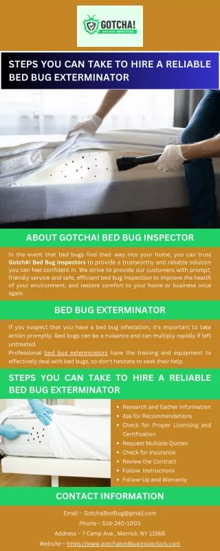 Steps You Can Take to Hire a Reliable Bed Bug Exterminator
