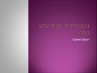  UTV ride through a zoo