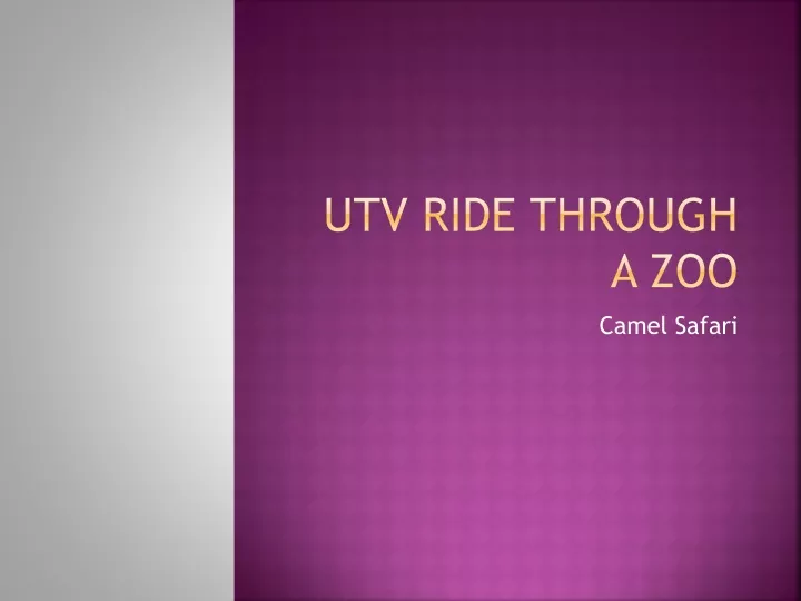 utv ride through a zoo