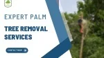 Palm Tree Care Services | Palm Tree Removal Cost Las Vegas - slide 1
