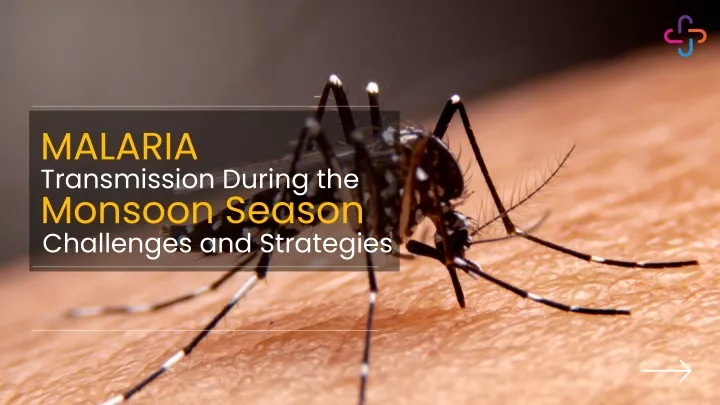 malaria transmission during the monsoon season