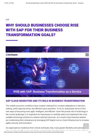 Why Should Businesses Choose RISE with SAP for their Business Transformation Goals_ - Techwave