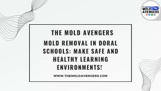 Mold Removal In Doral Schools Make Safe And Healthy Learning Environments!