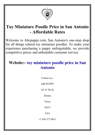 Toy Miniature Poodle Price in San Antonio - Affordable Rates