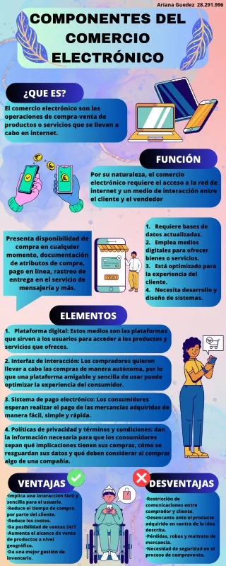 COMPONENTES DEL COMERCIO ELECTRONICO (1)