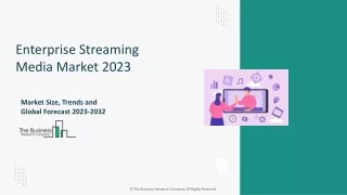 enterprise streaming media market 2023