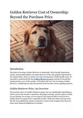 Golden Retriever Cost of Ownership_ Beyond the Purchase Price