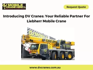 Introducing DV Cranes Your Reliable Partner For Liebherr Mobile Crane