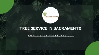 Tree Service In Sacramento - Cisnerostreecare.com