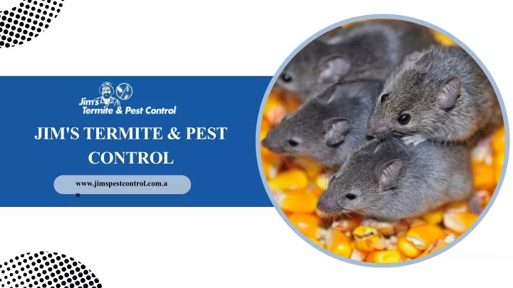 jim s termite pest control