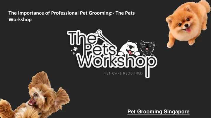 the importance of professional pet grooming
