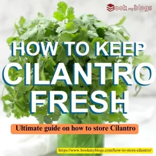 how to store Cilantro