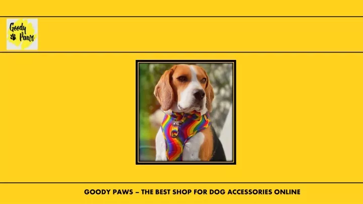 goody paws the best shop for dog accessories