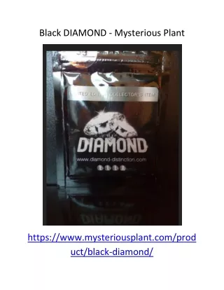 black diamond mysterious plant