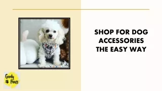 Shop For Dog Accessories The Easy Way