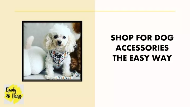 shop for dog accessories the easy way