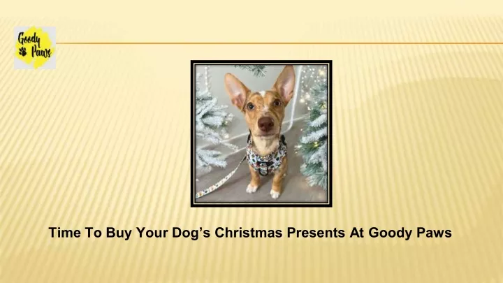 time to buy your dog s christmas presents