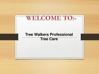 welcome to
