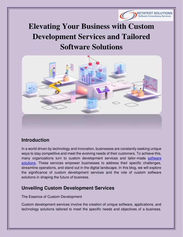 elevating your business with custom development