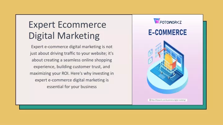 expert ecommerce digital marketing