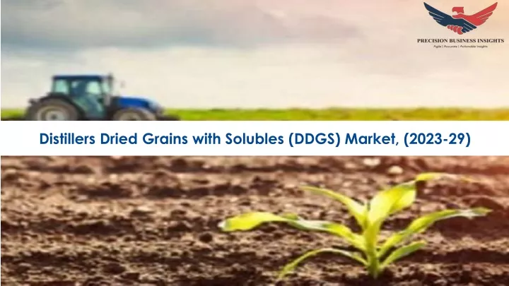 distillers dried grains with solubles ddgs market