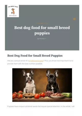 Best dog food for small breed puppies