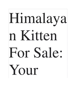 Himalayan Kittens for Sale: Find Your Ideal Feline Companion