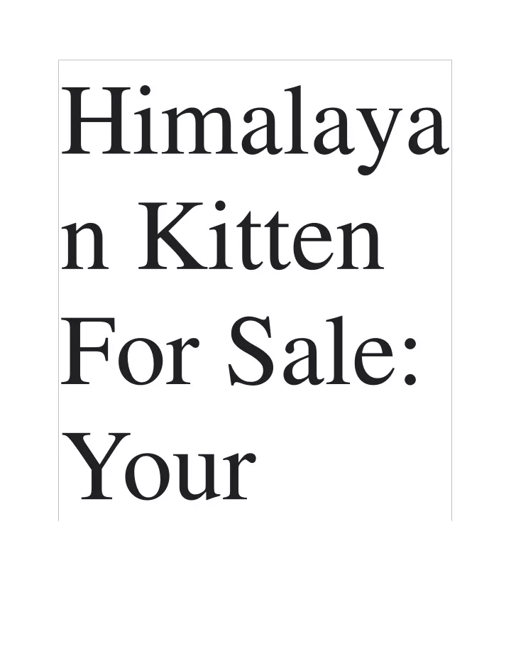 himalaya n kitten for sale your