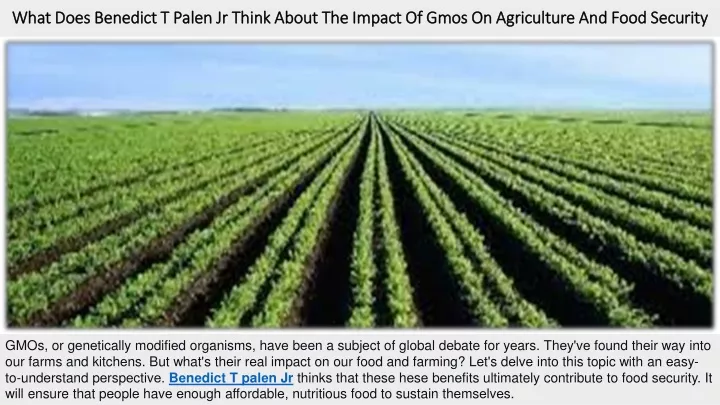 what do s b n dict t pal n jr think about th impact of gmos on agricultur and food s curity