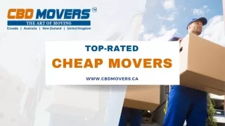 Top-Rated Cheap Movers In Toronto