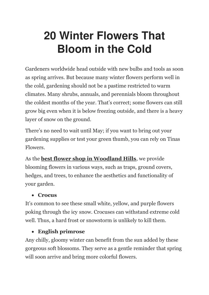 20 winter flowers that bloom in the cold