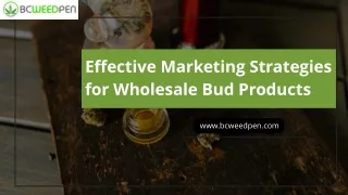Buy Wholesale Bud Dispensary Online in Canada