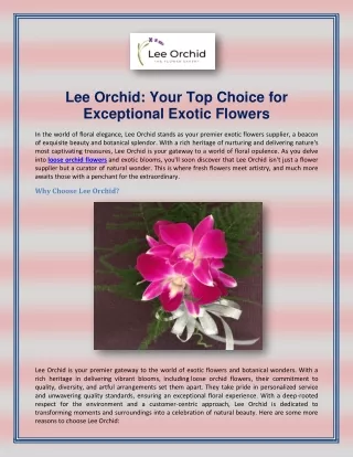 Lee Orchid Your Top Choice for Exceptional Exotic Flowers