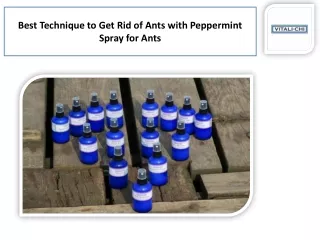 Buy the Top Peppermint Oil for Mosquitoes and Ants