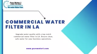 Crystal Clear Solutions: Commercial Water Filter in LA