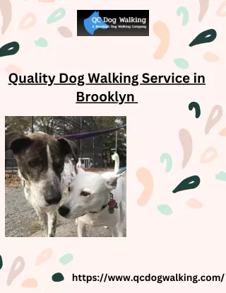 Quality Dog Walking Service in Brooklyn