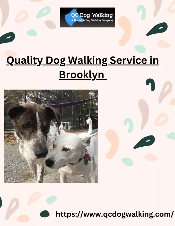 quality dog walking service in brooklyn