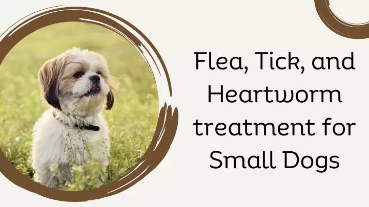 flea tick and heartworm treatment for small dogs