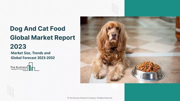 dog and cat food global market report 2023