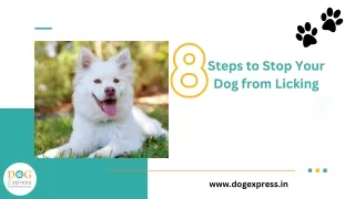Excessive Licking in Dogs Discover Why and How to Help-ppt