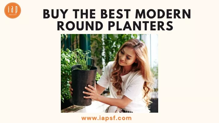 buy the best modern round planters