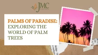 "Exploring Palm Trees: Diversity, Culture, and Sustainability- JMC Landscaping"