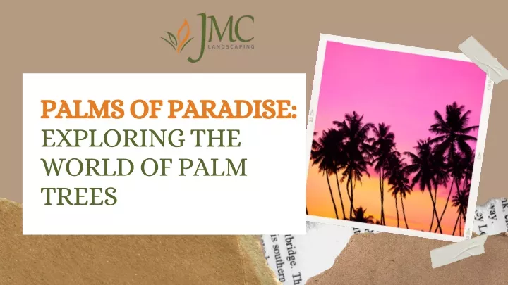 palms of paradise exploring the world of palm