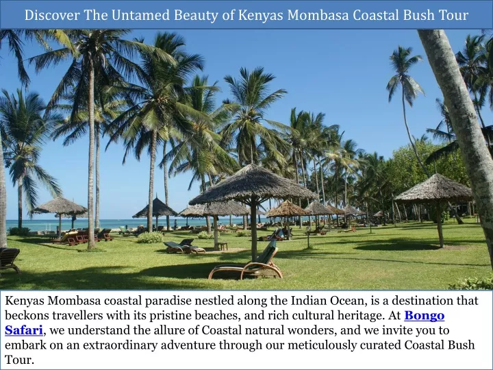 discover the untamed beauty of kenyas mombasa coastal bush tour